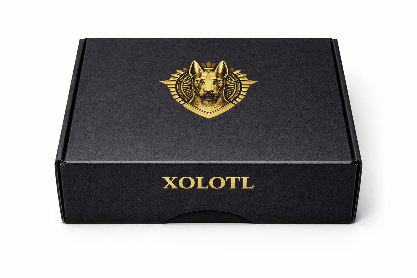XOLOTL Ritual Discovery Set