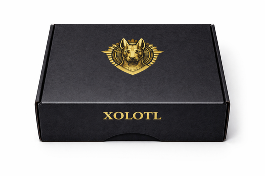 XOLOTL Ritual Discovery Set